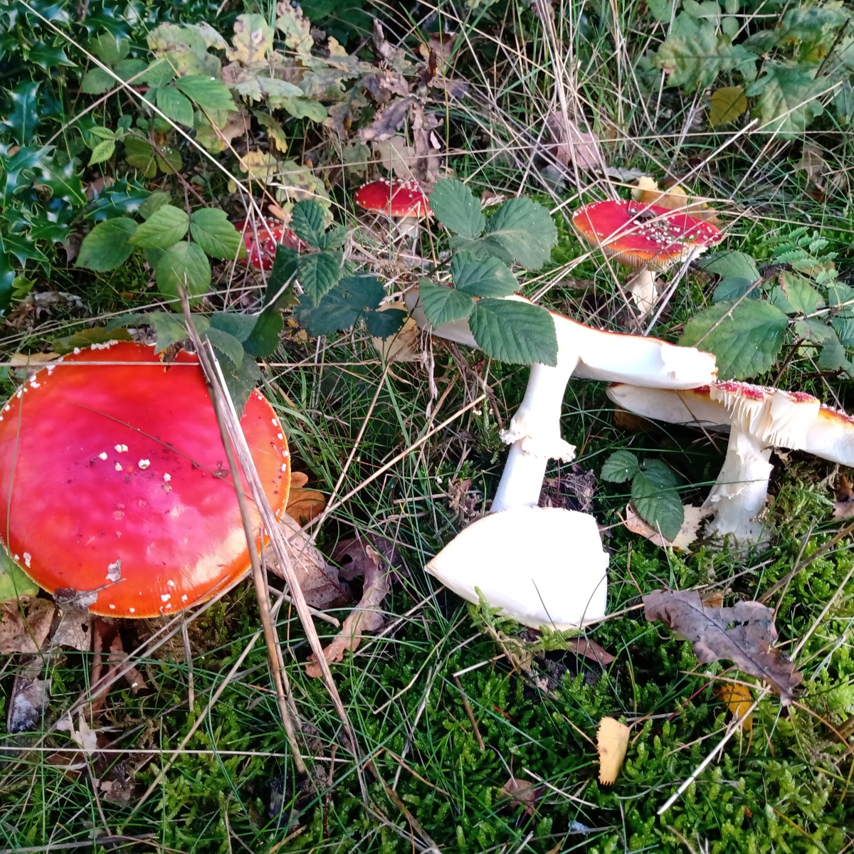 Just like the seasons, everything&nbsp;changes